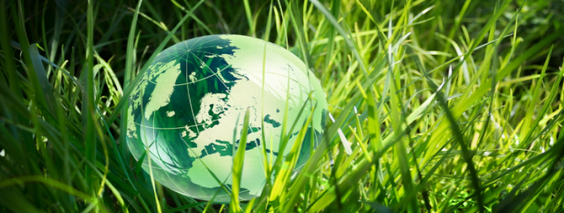 29省（区、市）“十五五”规划建议能源要点汇总